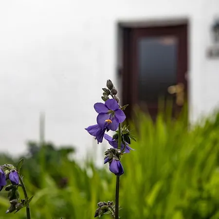 Fasgadh Crofters Cottage Broadford  Exterior photo
